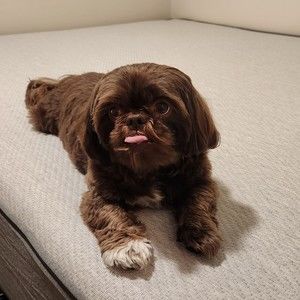 Meet your Posher, Blanca